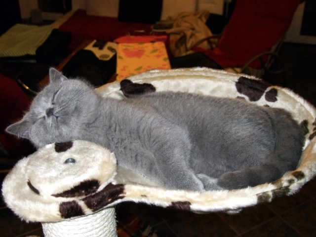 DSCF0012.JPG