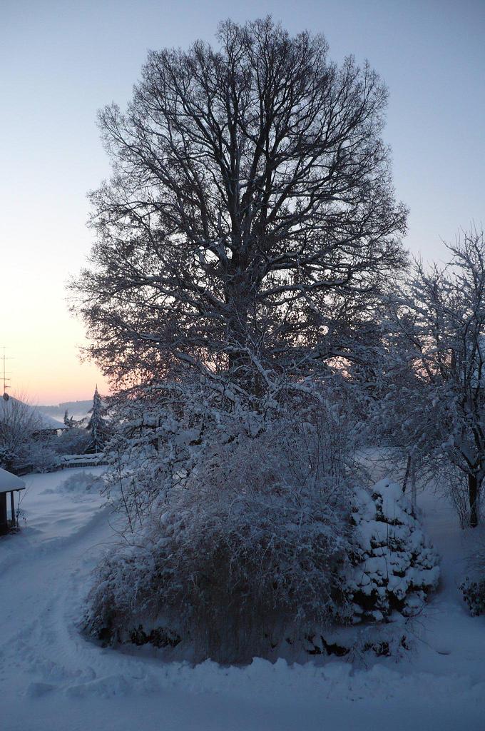 P1010609-2.JPG