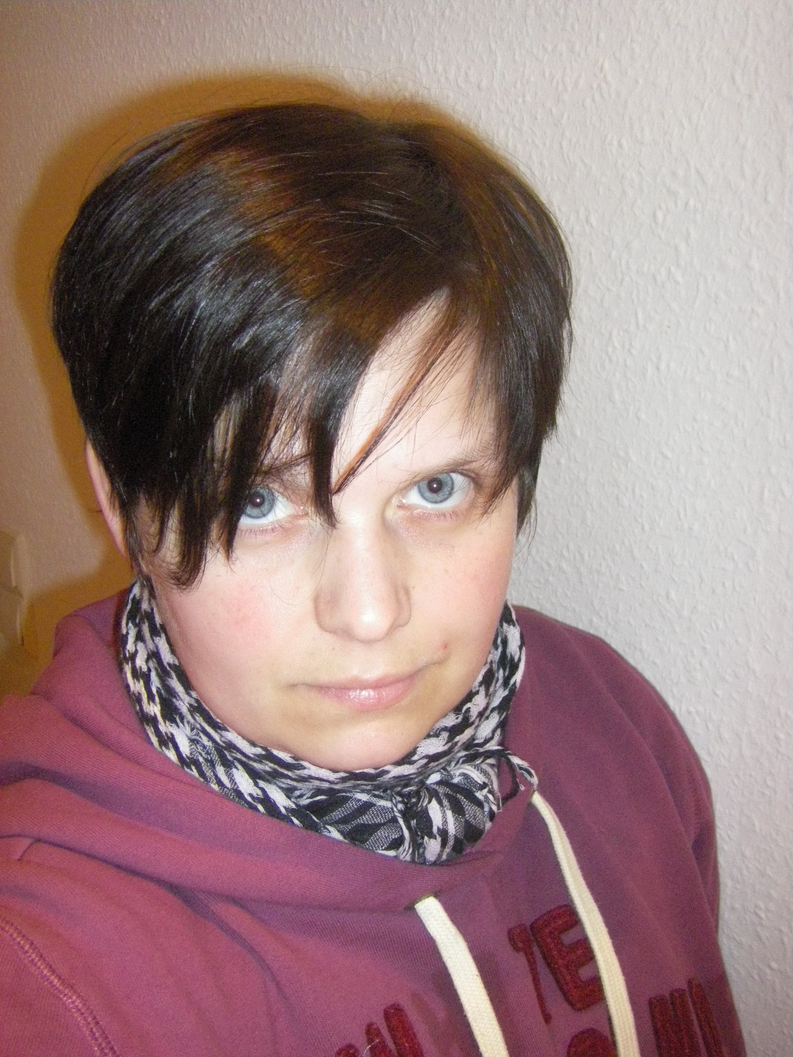 nikki kurzhaarig....jpg