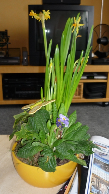 FrÃƒÂ¼hling.jpg
