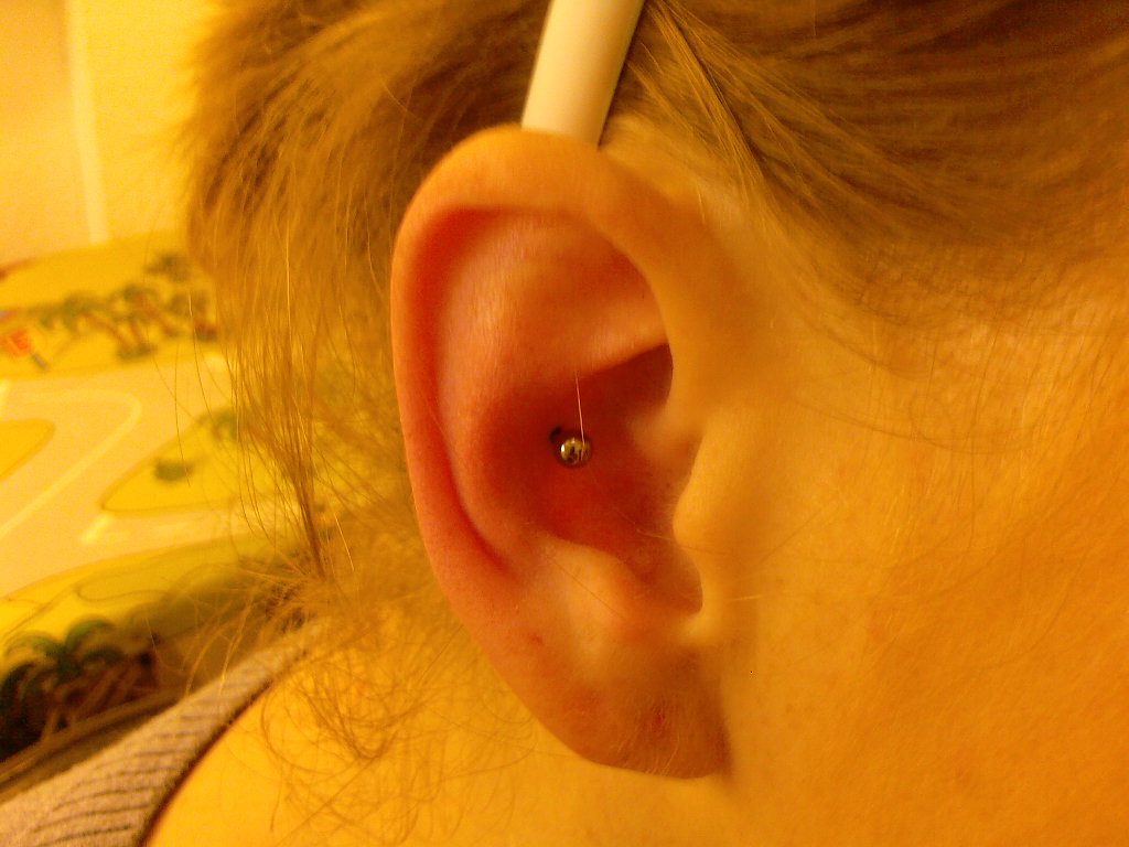 Conch.jpg