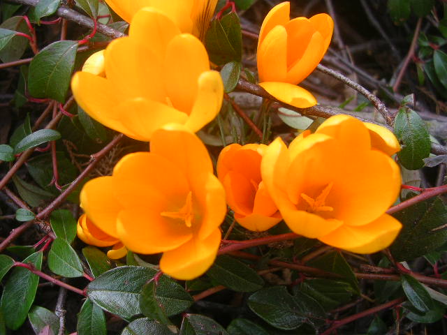 DSCN4633.JPG