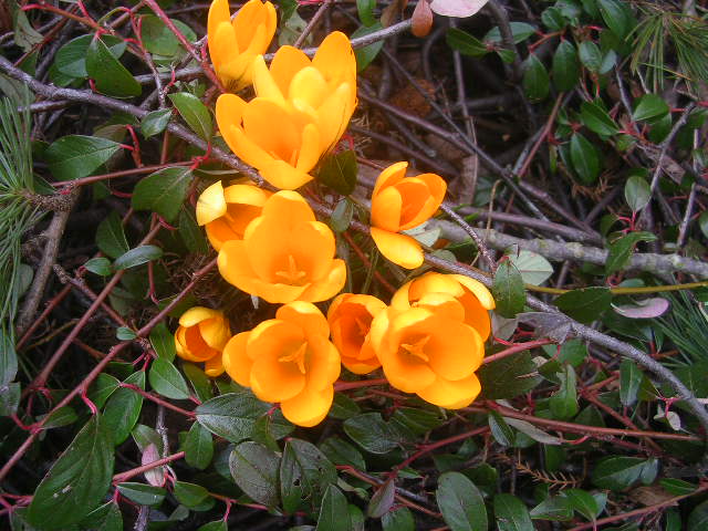 DSCN4632.JPG