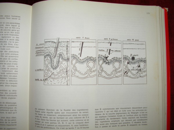 book1.jpg