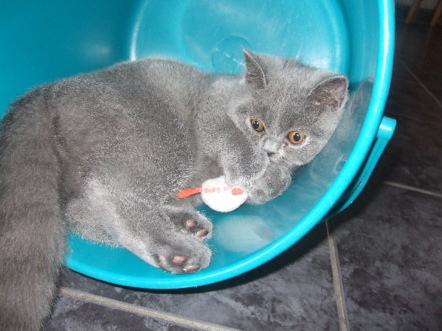 DSCF2299.JPG