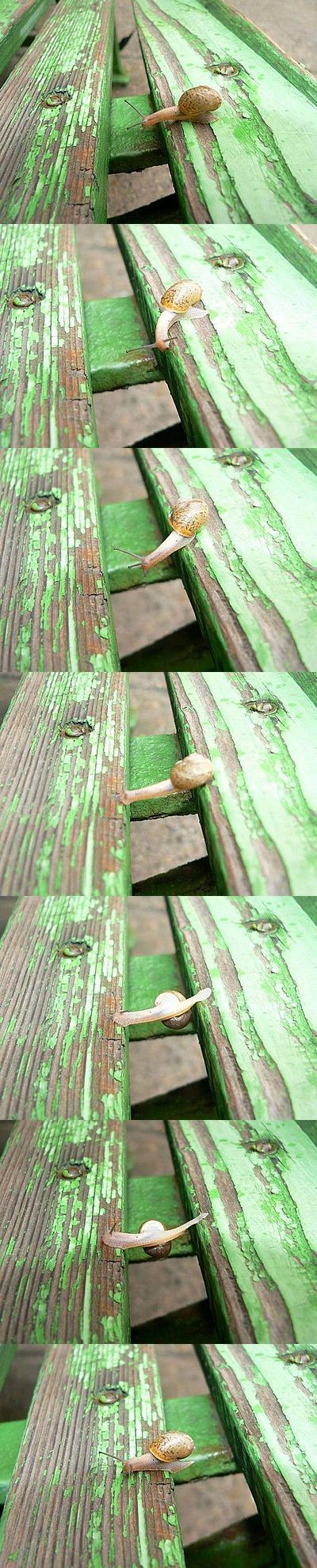 8854_7d41.jpeg