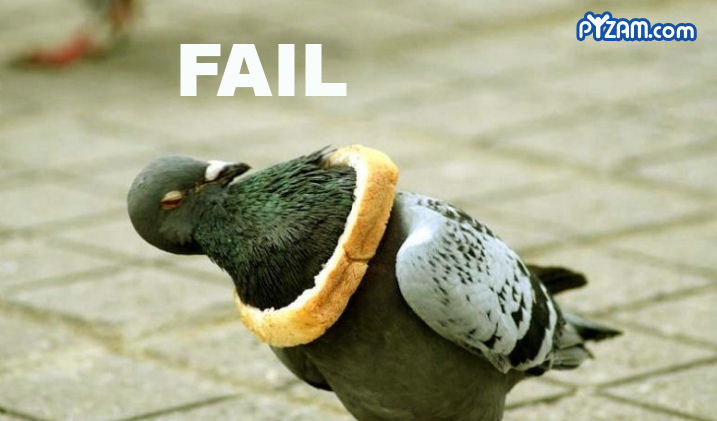 failbird.jpg