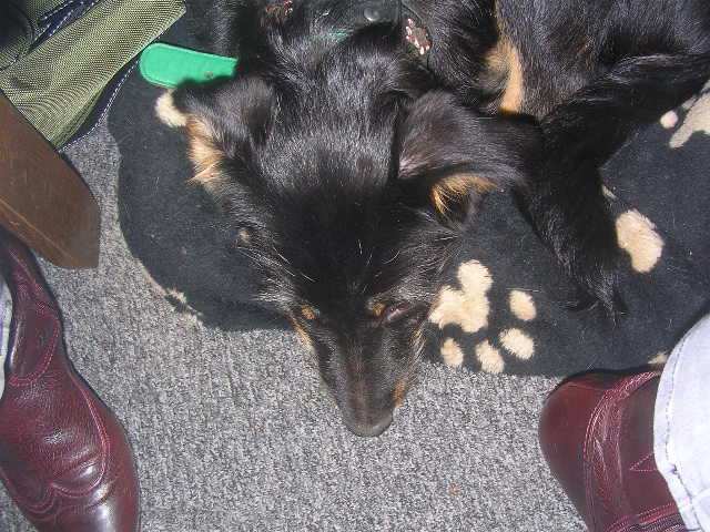 DSCN4635.JPG