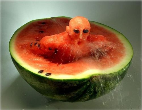 food003.jpg