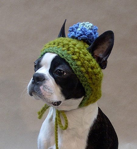 737520crochet-dog-hat.jpg