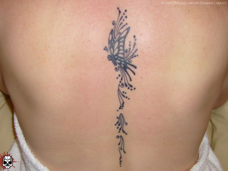 no9m-butterfly.jpg