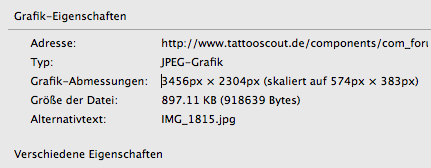 Bild 1.png