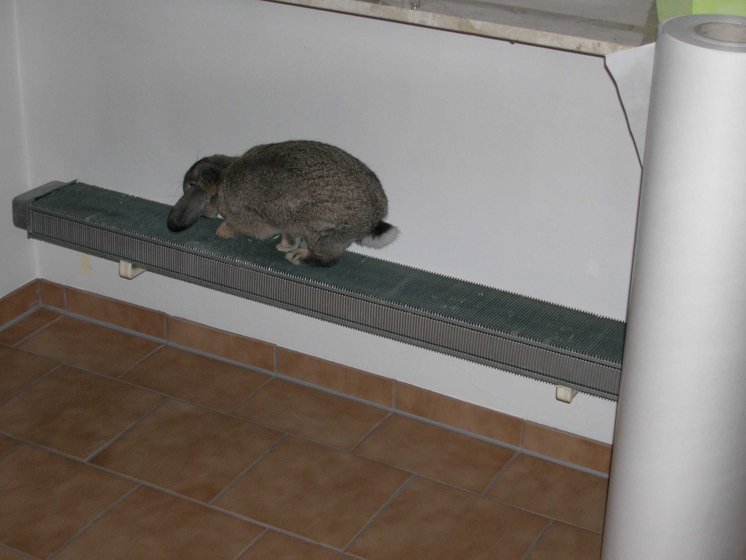 Bilder der Familie 042.jpg