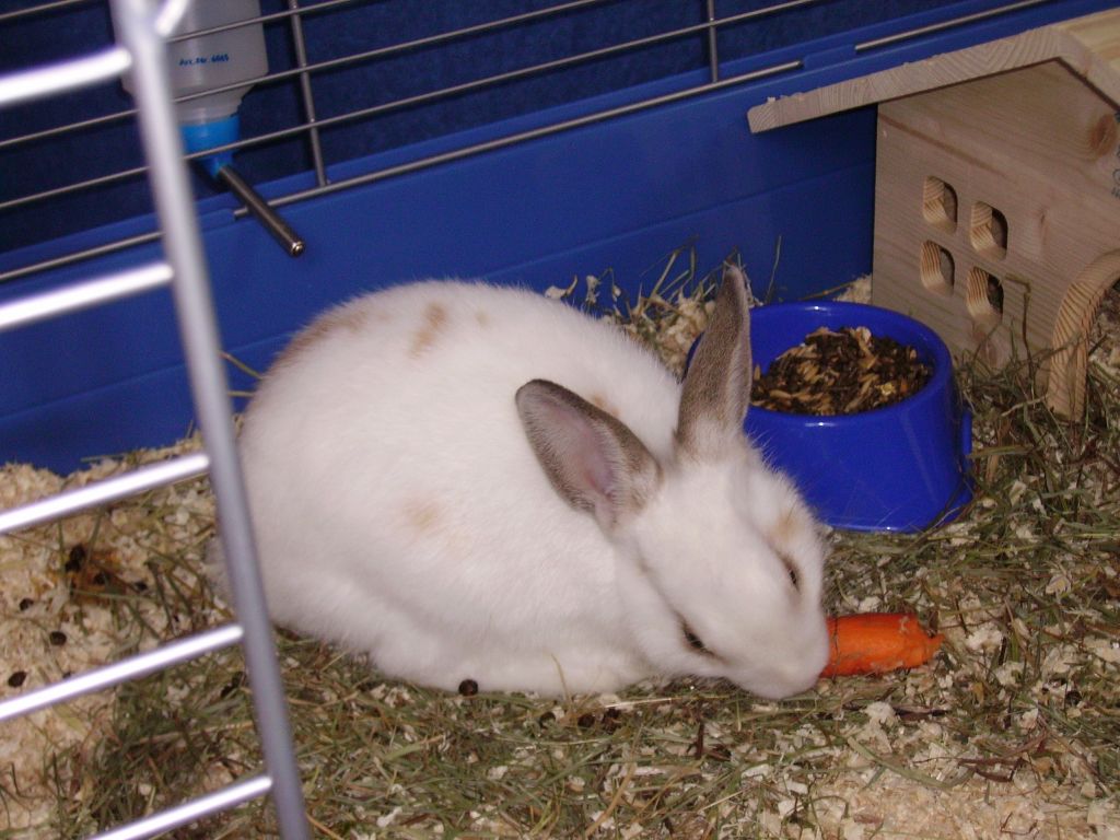 PICT0186.JPG