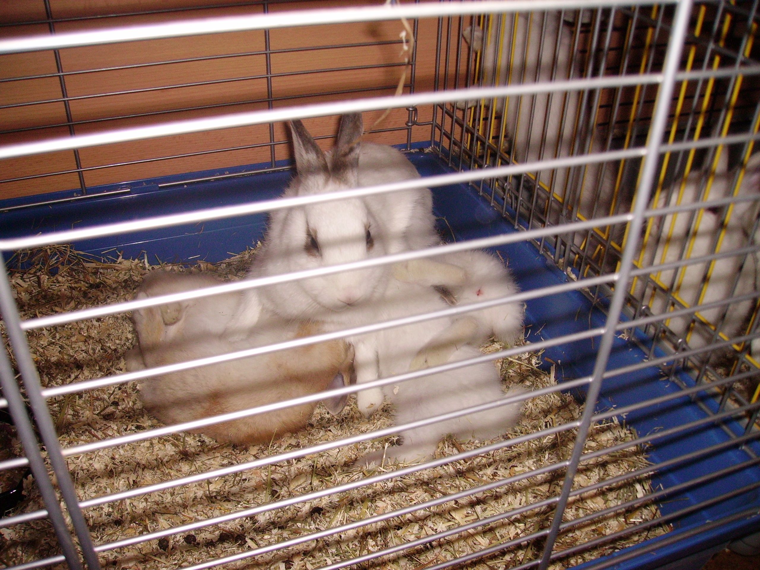PICT0526.jpg