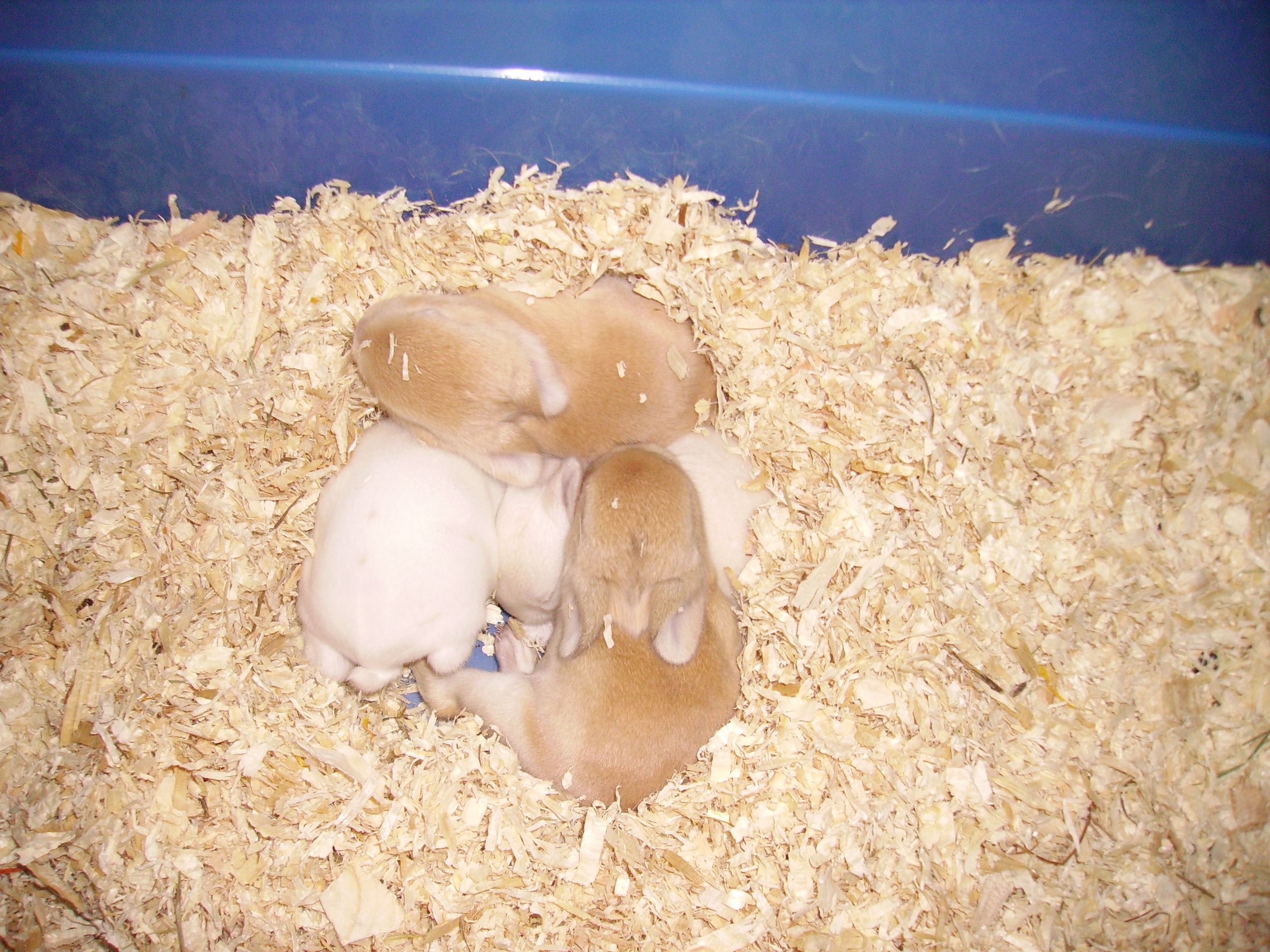 PICT0504.jpg