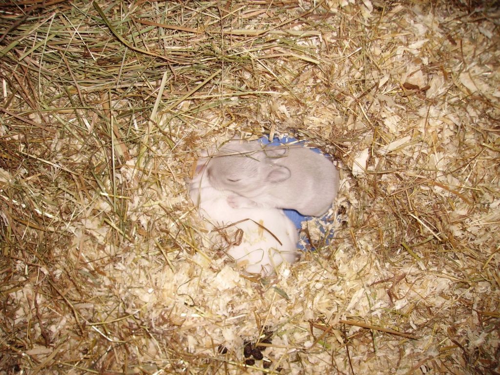 PICT0473.jpg