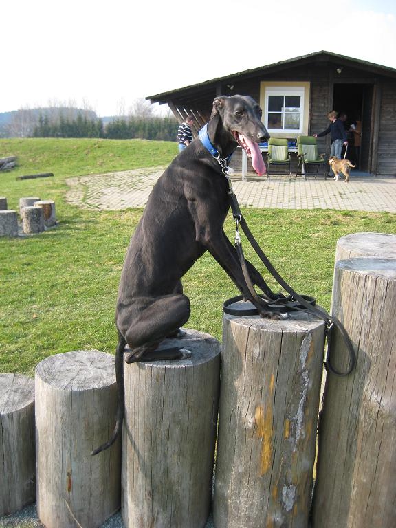 IMG_6647 - Kopie.JPG