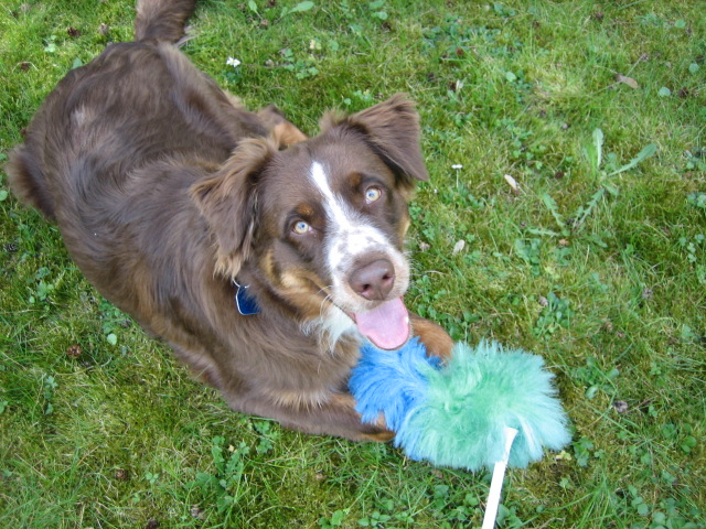 Summer_April09 012.jpg