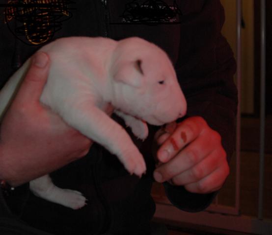 DSC_4970.JPG