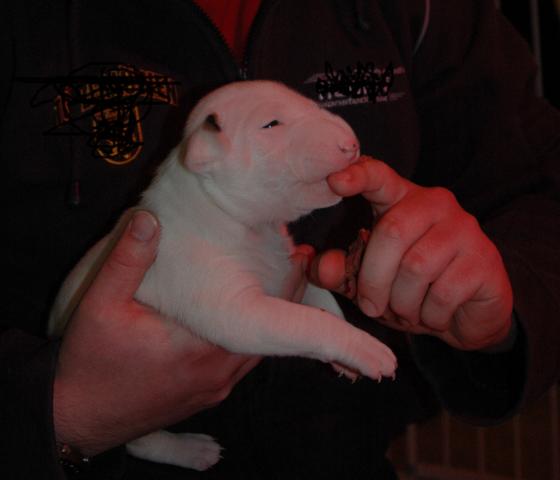 DSC_4969.JPG