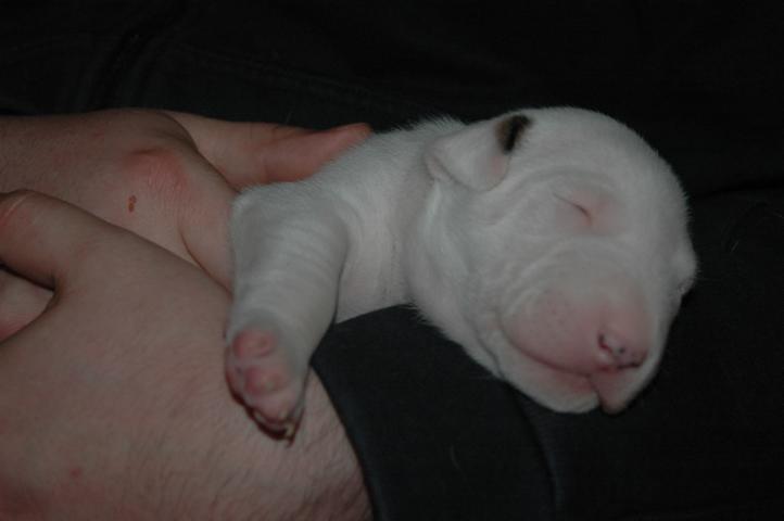 DSC_4973.JPG