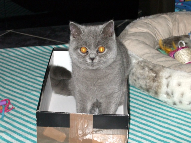 Eddy 6 Mon 03.JPG