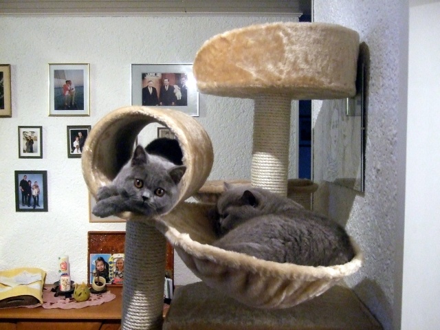Ed+Yo 016.JPG