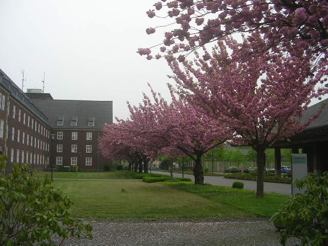 DSCN4654.JPG