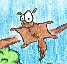 flying-squirrel-2.jpg