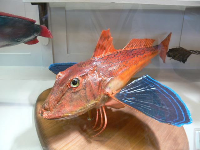 P1030642.jpg