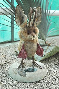 Wolpertinger-praeparat.jpg
