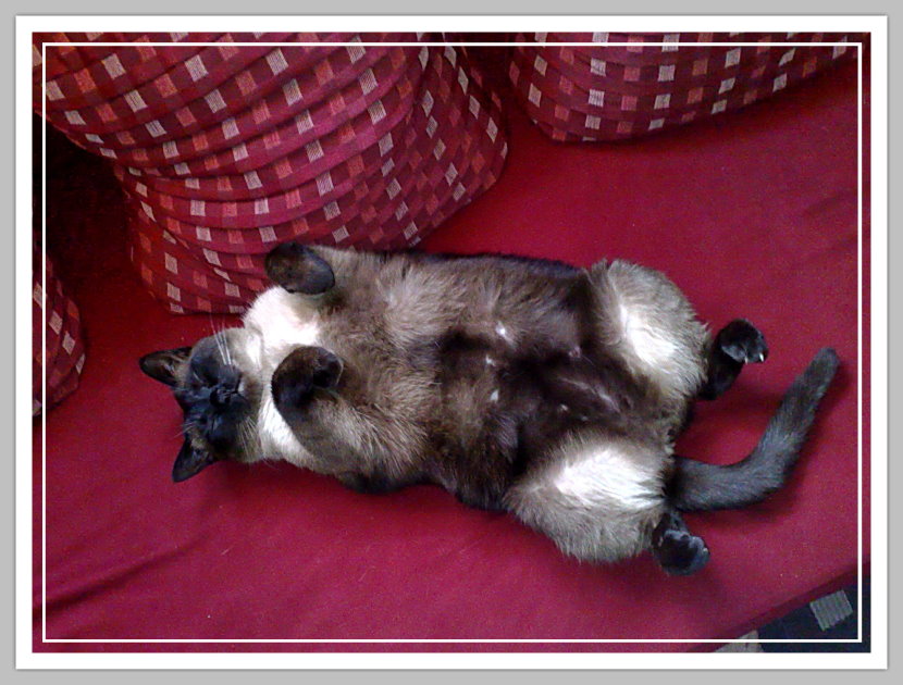 07042009022.jpg