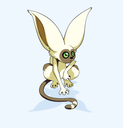 lemur momo.gif