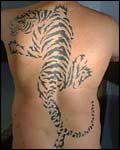 tiger.jpg