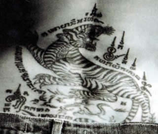 tiger jolie fertig.jpg