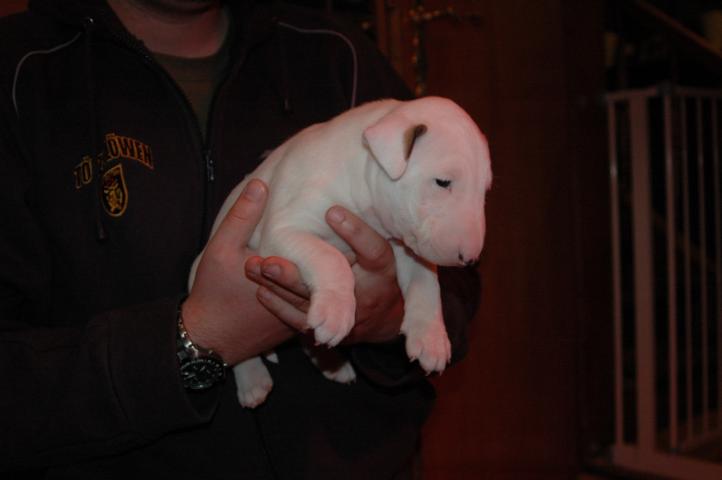 DSC_5286.JPG