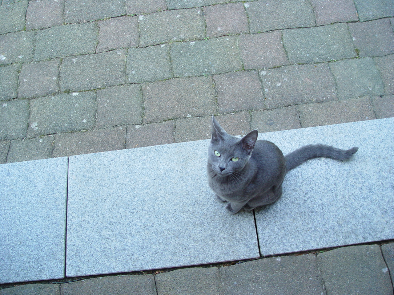 DSC01811.JPG