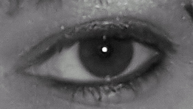 auge.jpg