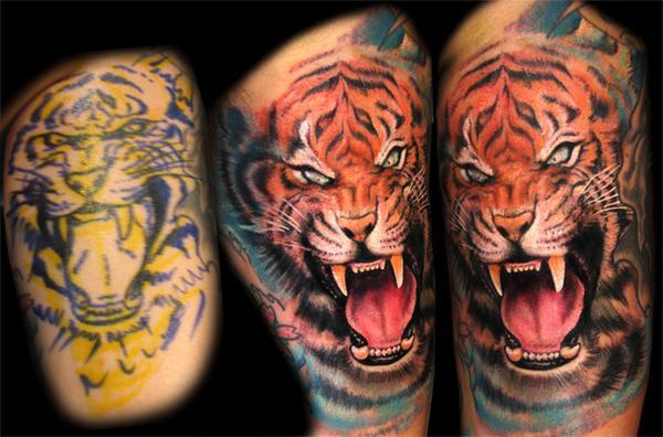 stefano_tiger.jpg