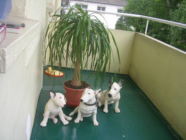 DSCN4675.JPG