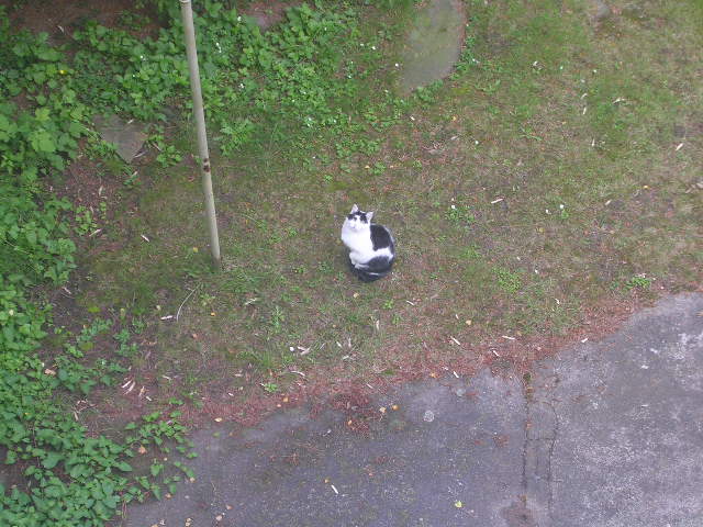 DSCN4680.JPG