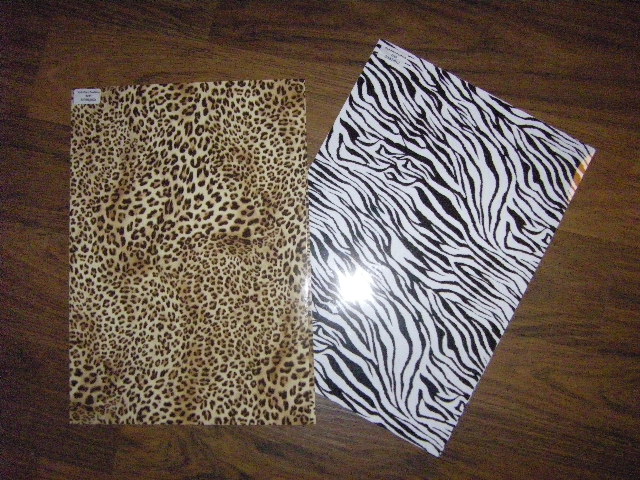 leo und zebra.JPG