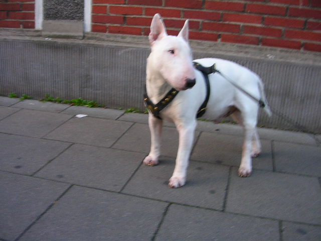 DSCN1802.JPG