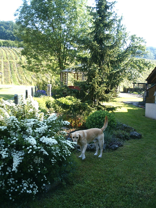 PIC_0007.jpg
