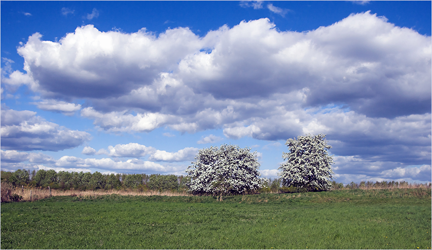 wolkenlandschaft2_409.jpg