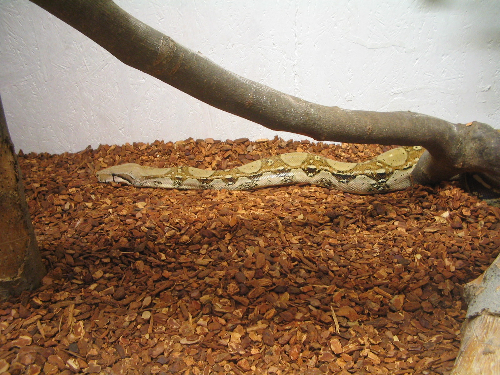 100_0006.jpg