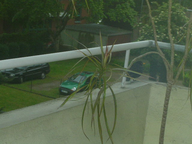 DSCN4732.JPG
