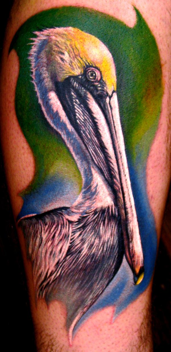 pelican.jpg