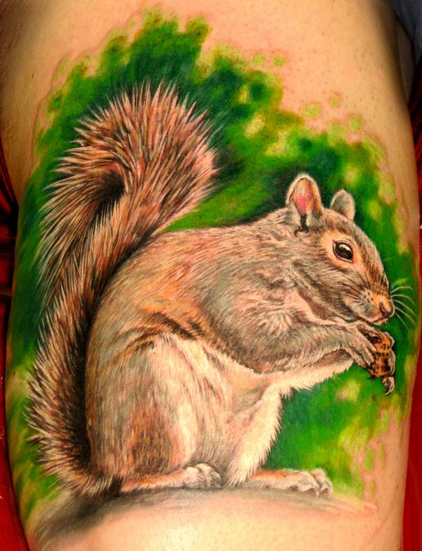 squirrel.jpg